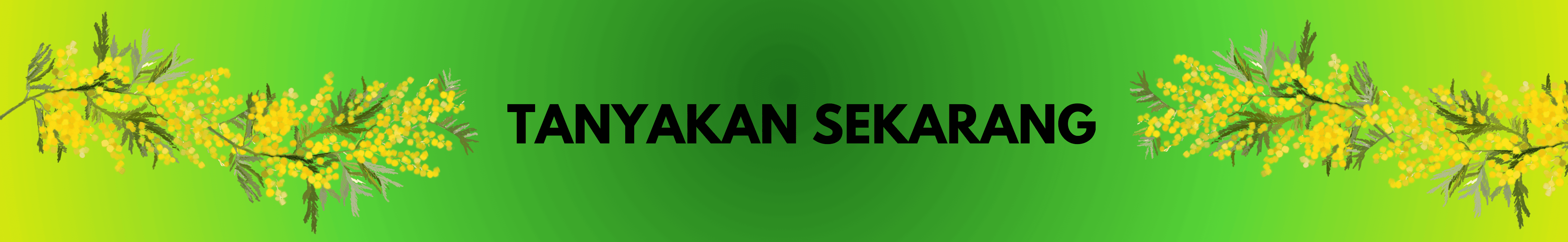 Konsultasi & Dapatkan Promonya (1)